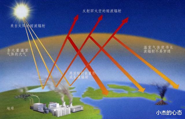 2300万年前的“树叶”,给人类“提了个醒”,那可以太空移居吗?