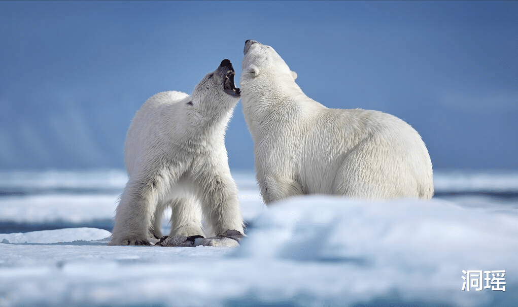 大理古城|对我国永久免签的地方，中国公民能随便进出，只要遵循2条规定