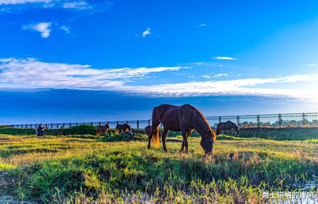巴厘岛|中国夏天既凉快又好玩的8座小城,你去过几个?