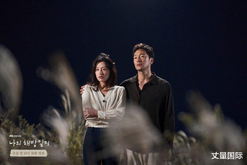 我的出走日记|《我的出走日记》剧情细节解析!「野狗」隐喻神呼应具先生的命运!