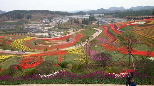 |贵州深山藏有一浪漫花海,在10月还免费,秋日花海之旅赶紧安排