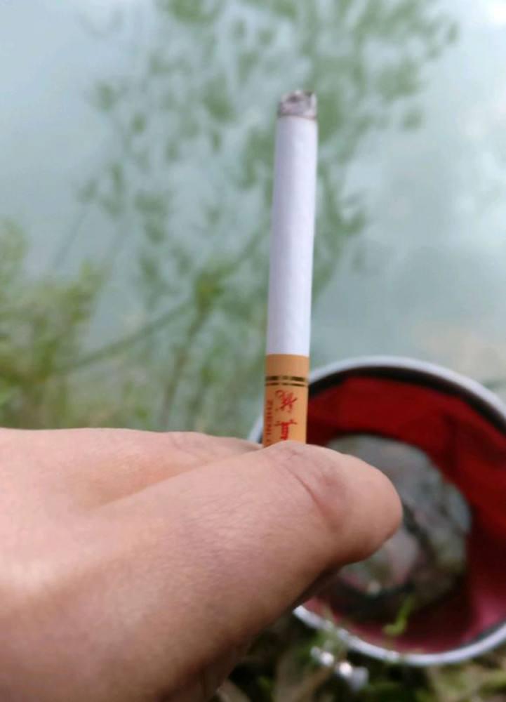 水库|去八一水库夜钓，钓友老陈每次都往水里扔一颗香烟，咋回事？