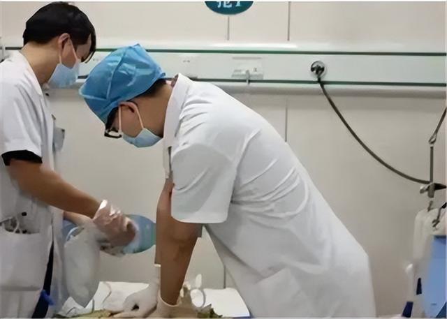 男子偷药店晾晒中药,泡酒喝下后身亡,家属将店主告上法庭