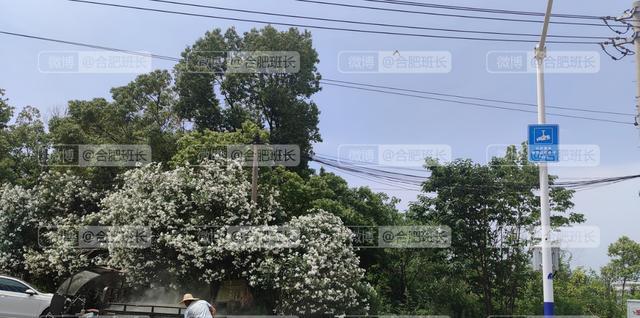 戚金兴|锁定2022下半场红盘的F5,实探滨湖中轴5宗地块最近进度和规划!