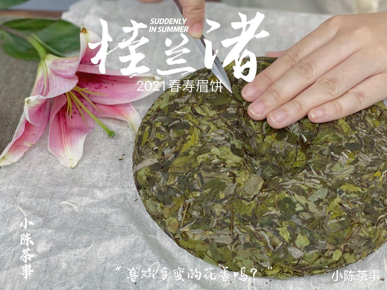 鉴定白茶饼好坏的9大干货，实用不踩雷，买对好茶的概率提升很多