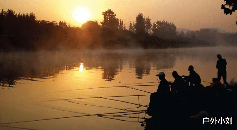 饵料|5个钓鱼误区,最后一个我们经常犯