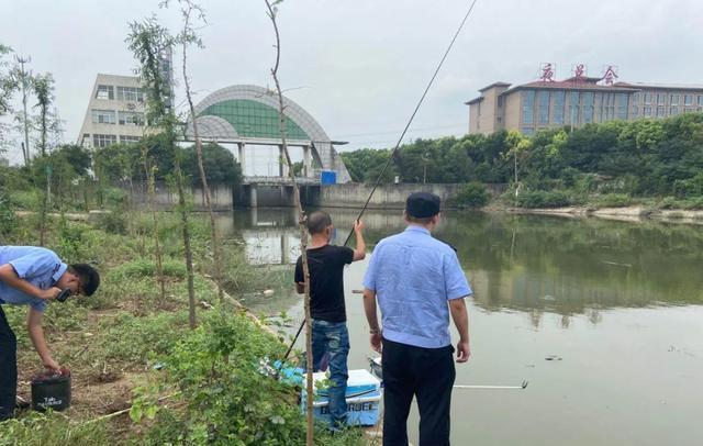 水库|禁渔期已到，多省市实施禁钓，但这些地方可以下竿