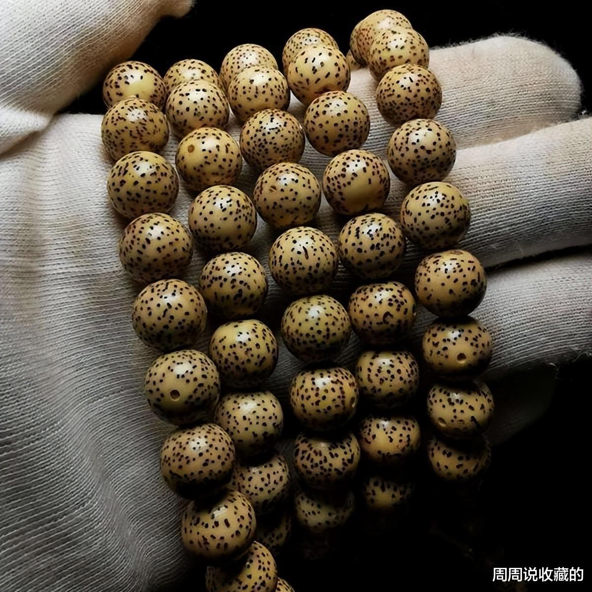 星月菩提大留白有几种?如何挑选?
