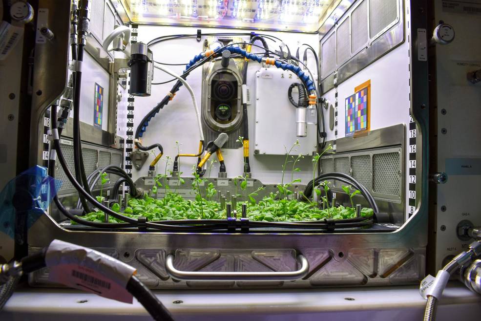一艘货运飞船起航!“天鹅座”满载科学载荷发往国际空间站
