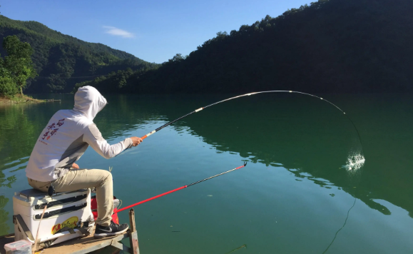 银行|钓鱼的乐趣是什么？我觉得是“乐不思蜀”