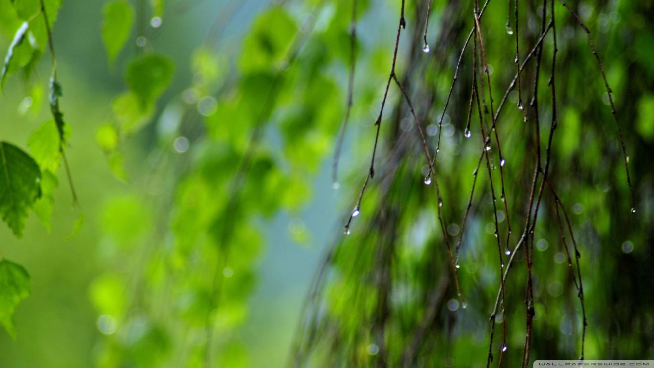 |如何在职场生存？