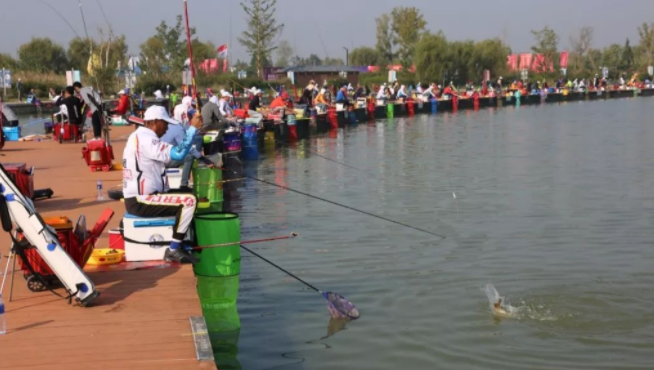 饵料|饵料吸引鱼儿的原理是什么？为什么说配制饵料要虚实兼备？