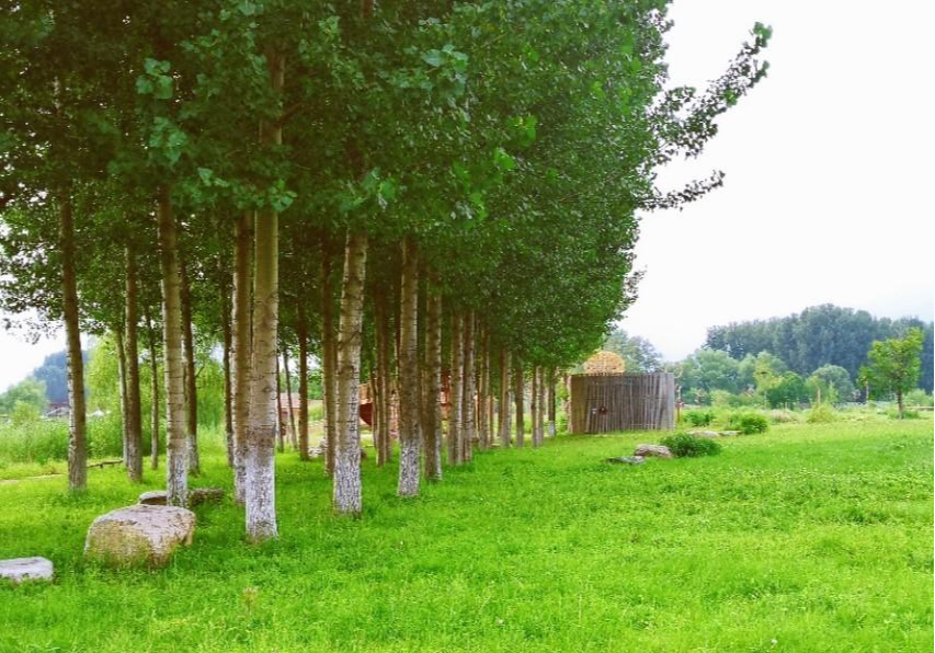 张家界|京郊休闲遛娃好去处,国内最大的葡萄主题公园,还有荷花,芦苇荡