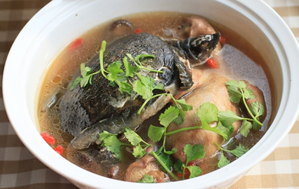 冬瓜|吃一口等于5斤冬瓜,“1物”不起眼,却是甲状腺结节克星,敞开吃