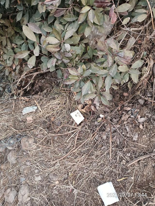 钓鱼|【钓鱼之家虾粉】虾粉助力再创佳绩,收获满满再成河冠