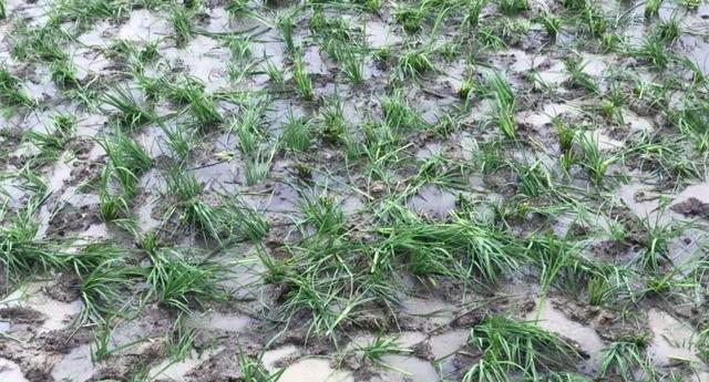 |这3件事做得越多,人们越烦钓鱼人,钓鱼人的名声都搞坏了