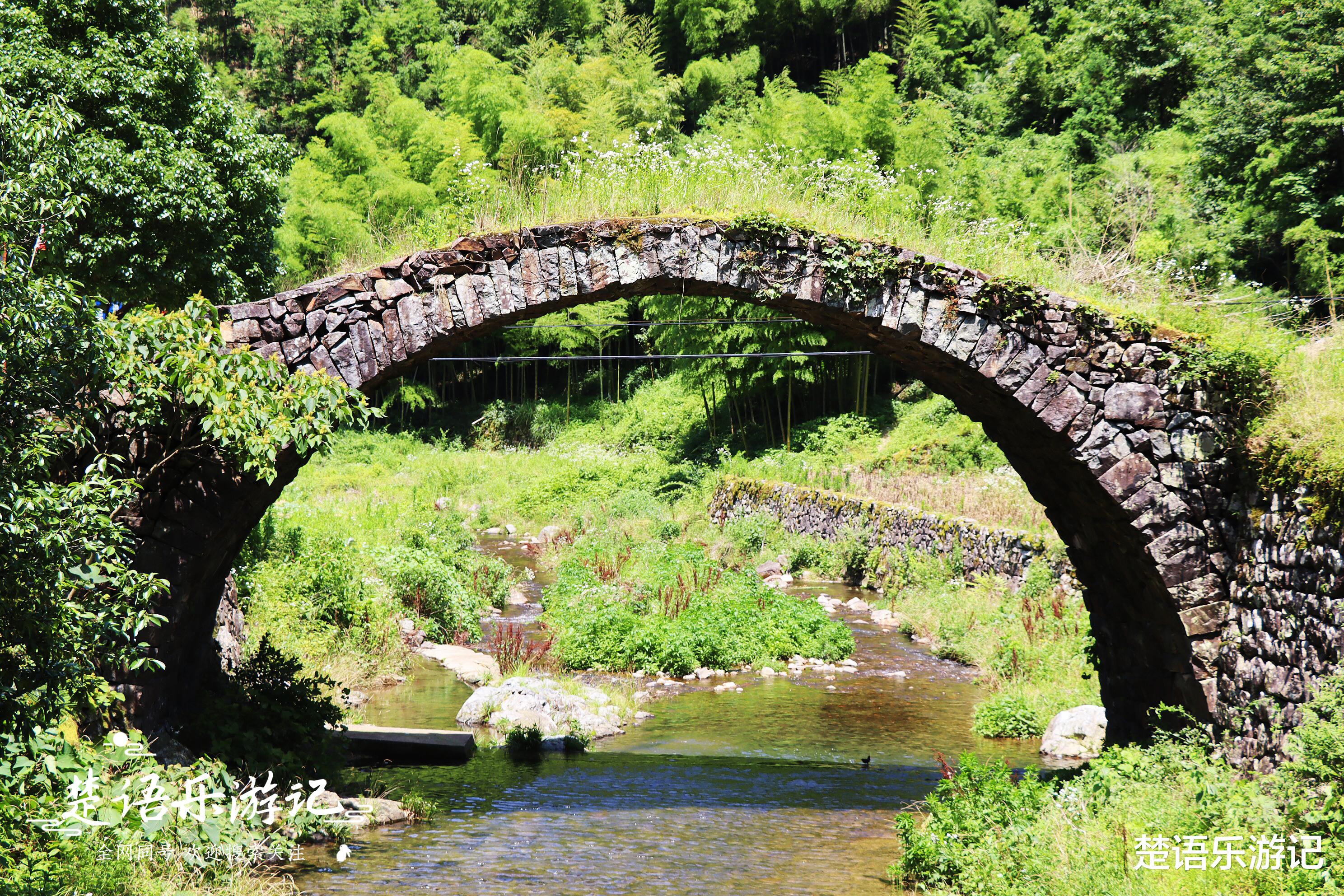 奉化|藏于奉化山岙的古村，依山傍水、梯田古道，少有人来但是景色清秀