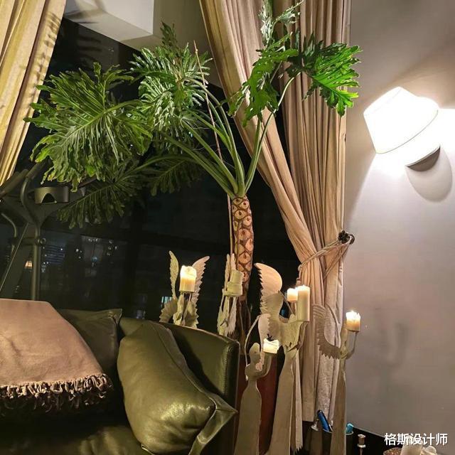 43岁殷桃在北京的豪宅,家中布满名贵花草和家具,价值超百万