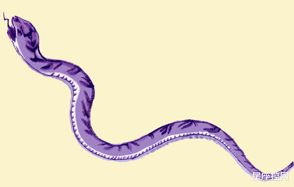 生肖|八月开局有新惊喜，3生肖职场开门红，事业大成功，钱包发福