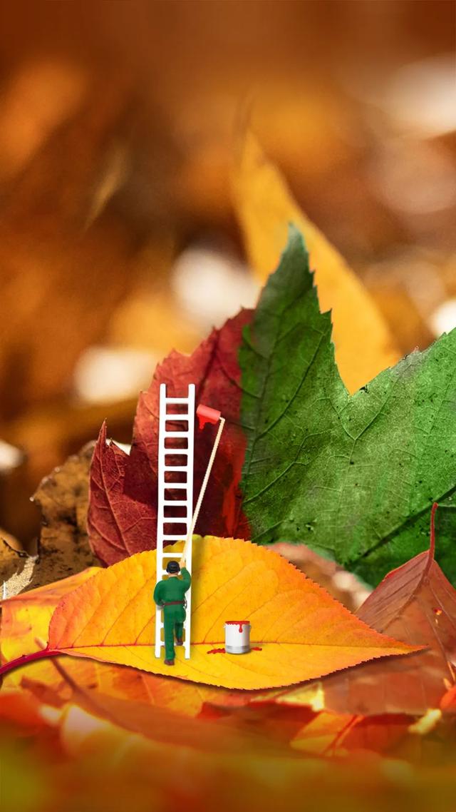 摆摊|副业到底有多火热?