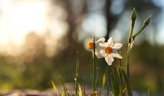 裁员潮|真正聪明的人,早就戒掉了无效社交