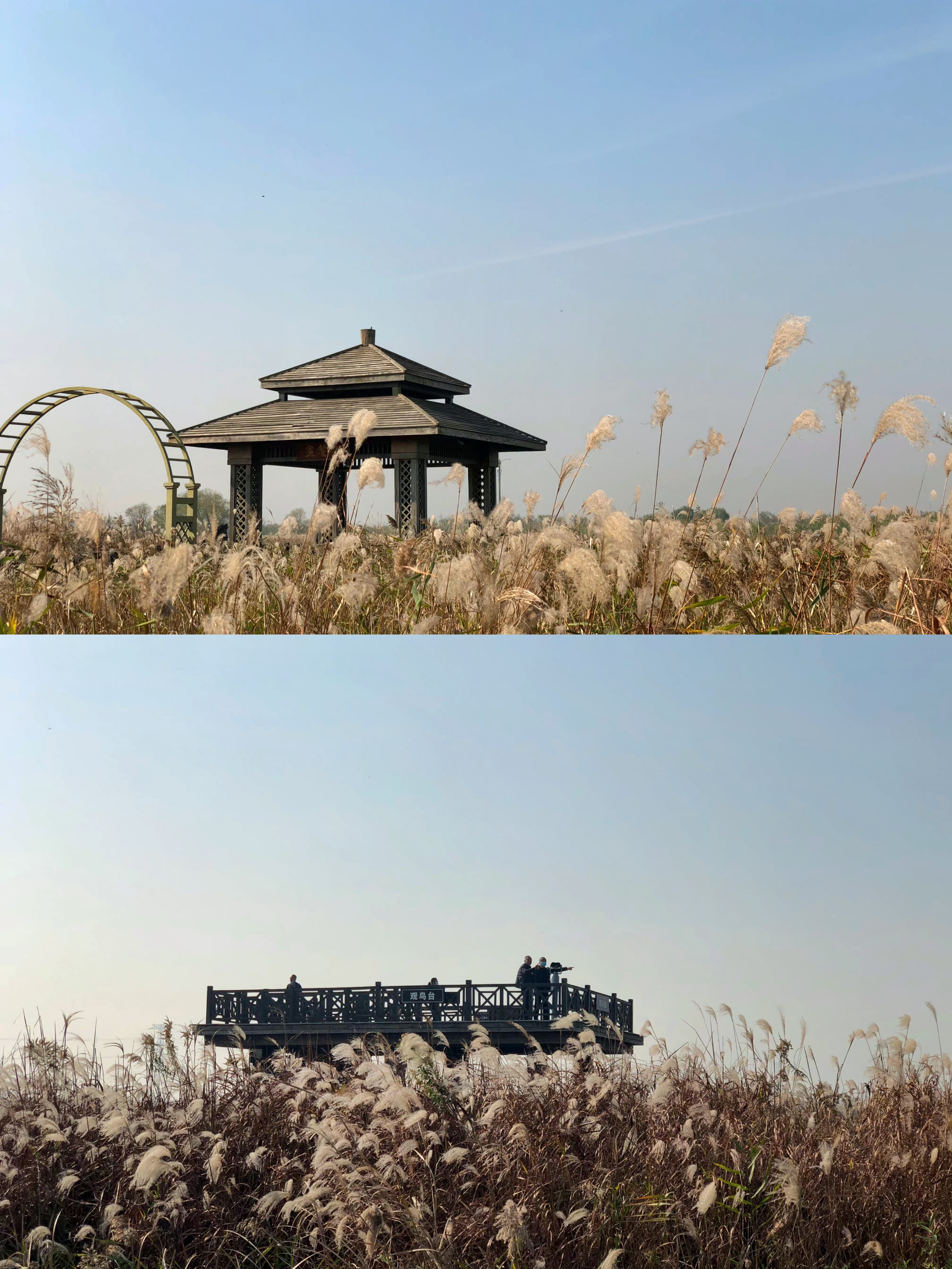 房山|宁波赏秋,这里真的太好拍了!绝美秋景快冲