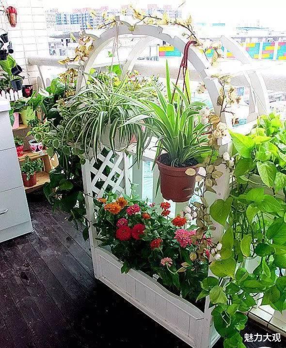 小阳台也能玩出大花样，一眼就让你沉沦！