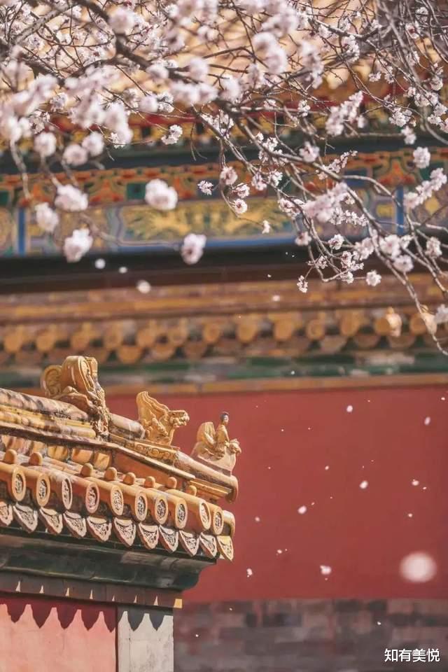 徐汇滨江|老外眼中中国最美的20个地方,神秘、有历史感,你去过几个呢?