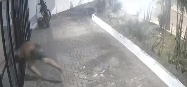 巴西男子夜闯豪宅想侵犯女住户,用头撞碎玻璃门后失血过多死了!