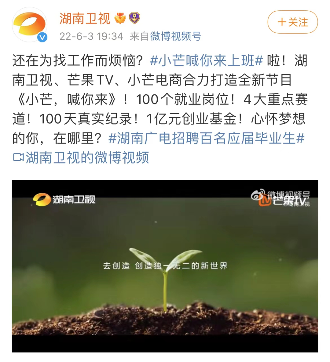Netflix|降本增效这道大题，各家平台的解法还就是不一样…