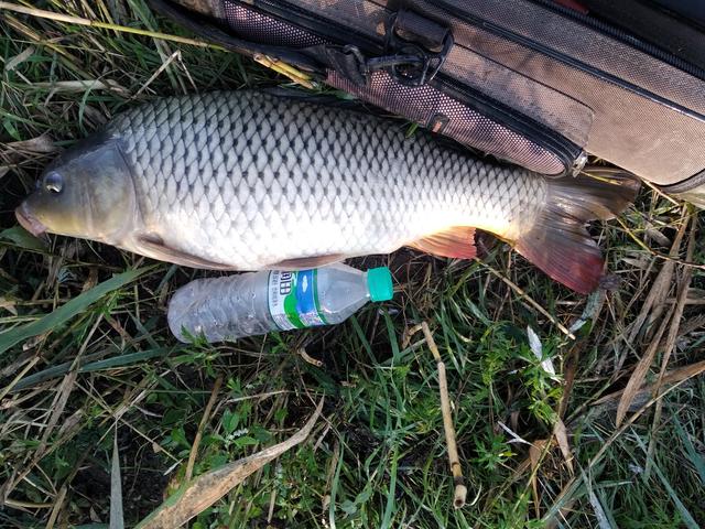 水库|东北地区的鱼儿都躲在哪里了？