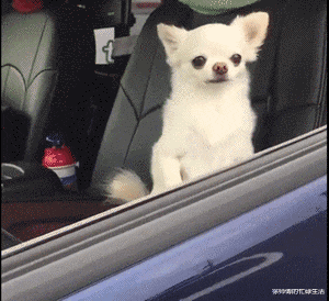 “在老家盖的房子已经完工了,可总觉得哪里不对劲...”这阳台