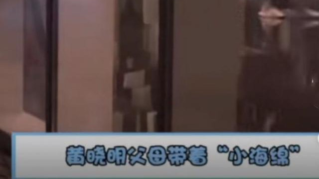 黄晓明|黄晓明带儿子与前妻见面，Angelababy怀抱“小海绵”尽显母爱