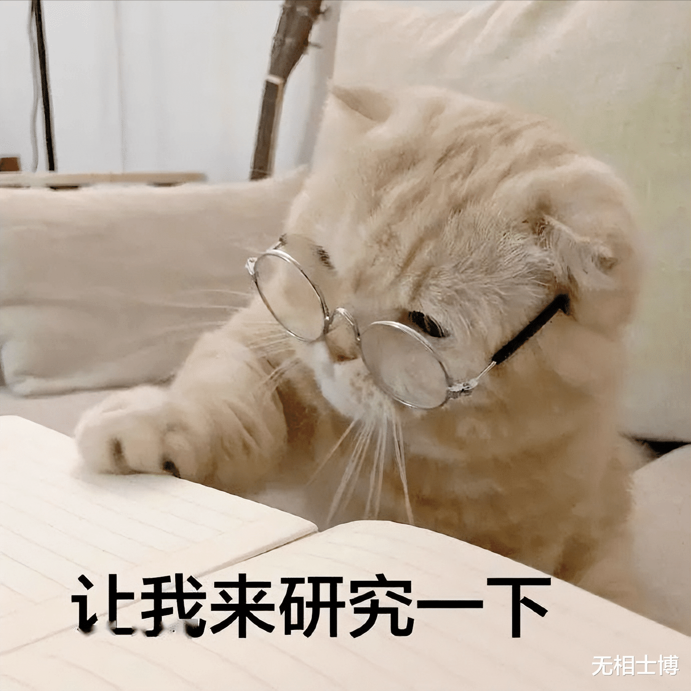 苹果|第一个“敢”向我国大量出口红富士苹果的国家,为什么会是南非?