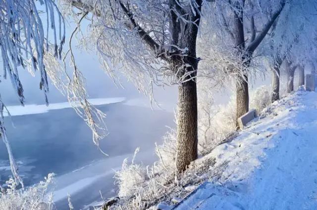 拍雪摄影技巧+攻略:如何展现冬季的冰清玉洁。