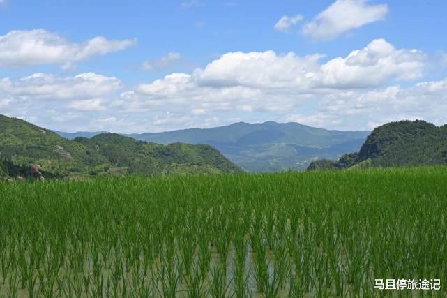 贵阳|浙江温州新晋避暑胜地, 7月来泰顺探秘华东大峡谷, 感受别样慢生活
