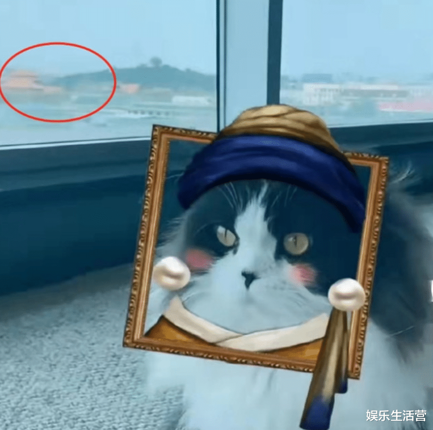 王艳|晴格格王艳抛售15亿豪宅，11.2亿无人要，可能随丈夫移居澳大利亚