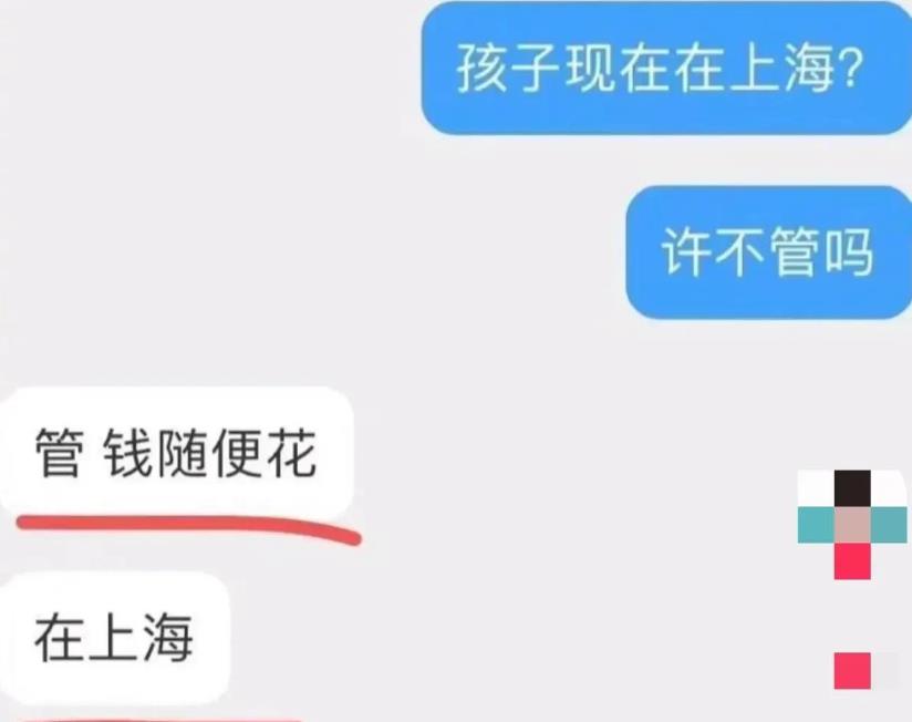 许雅钧|曝许雅钧有2岁私生子，小S怎么办？同是女婿S家为何只讨伐汪小菲