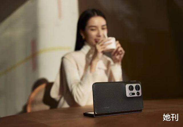 赵丽颖|赵丽颖，带火了今年最后一个大女主