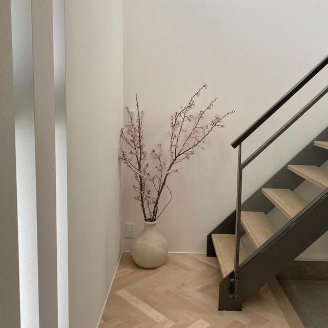 发现一日本太太的家,不像是干净,更像是在展示艺术,治愈极了!