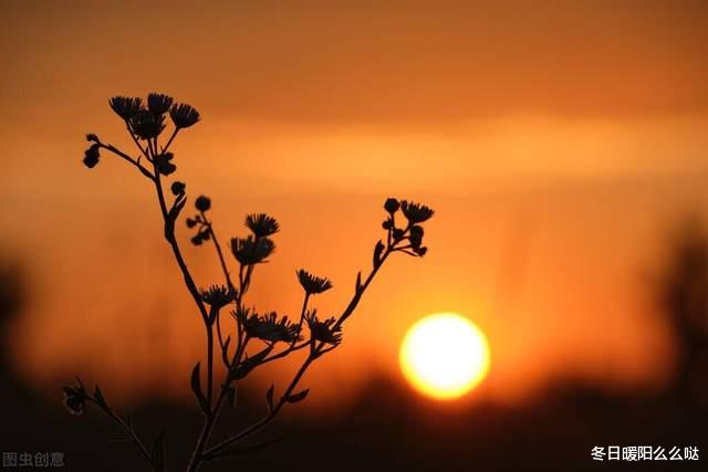 医生|?几本非常有意思的系统加点流小说，本本完结，书荒收藏慢慢看