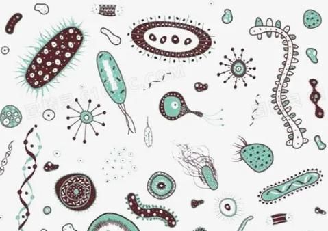 祛湿|生姜的“黄金搭档”找到了？常喝或祛湿排宿便，不妨了解下