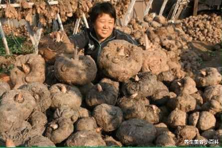 抗癌|没卖相的它, 每天吃一点白发变黑, 防癌抗癌效果好