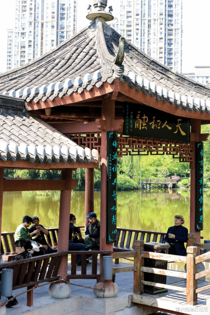 |公交直达，湿地、草坪、运动场！这个宝藏公园怎么还不出圈？