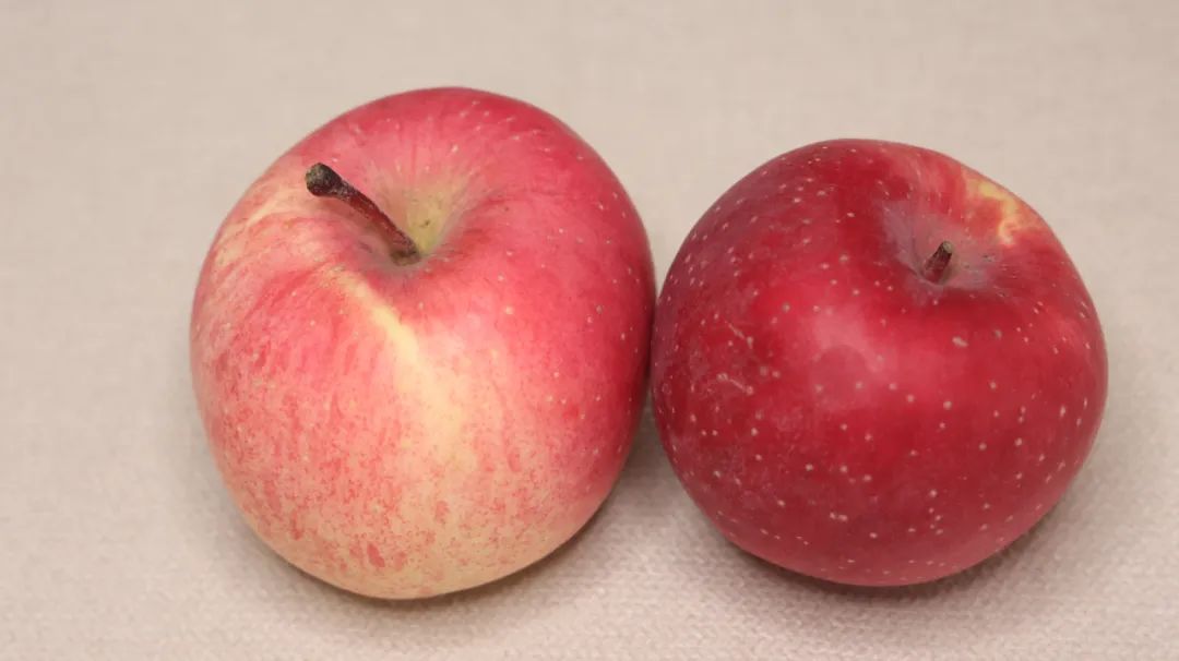 苹果|每天一苹果、医生远离我，坚持食用热苹果的人，4个好处会上门