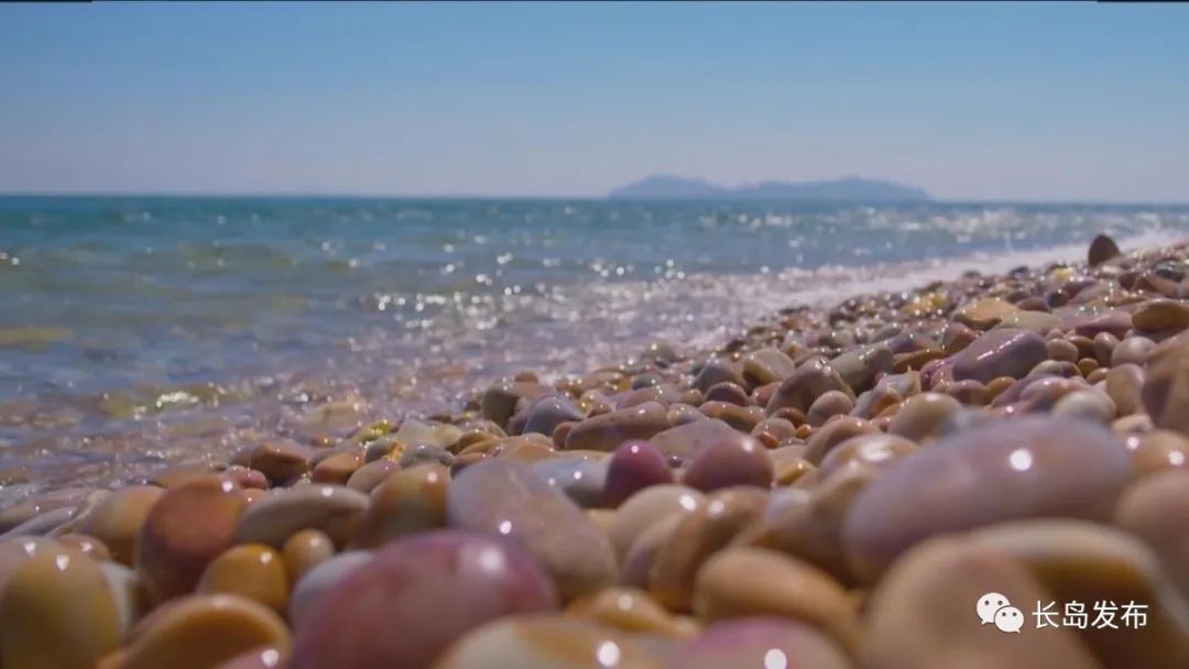 长岛|E起见证·这里是烟台 | 走进夏日长岛,带你看遍五彩世界