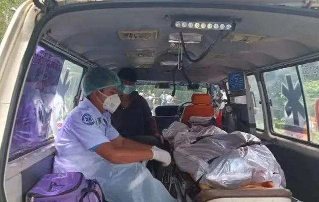 一头苦力大象的反抗