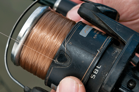 |欧鲤钓小技巧之12:夜钓技巧