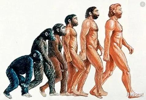 人类继续进化下去,你就可能长这个样子,你能接受吗?