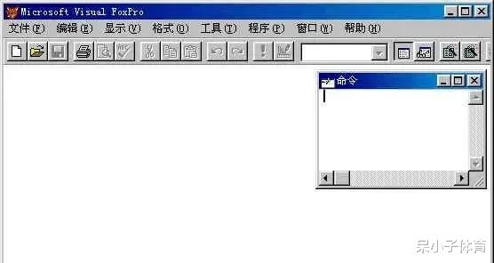 大家还记得Visual FoxPro这款软件吗？